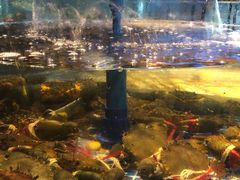 -海立阁海鲜江浙菜(漕河泾印象城店)