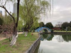 -中央公园(苏州工业园区)