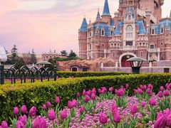 -上海迪士尼度假区