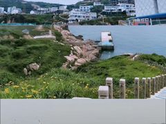 -东极岛景区