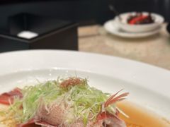 东星斑清蒸-8餐厅(新葡京酒店)