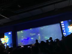 -重庆欢乐海底世界