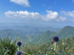 -白草畔自然风景区