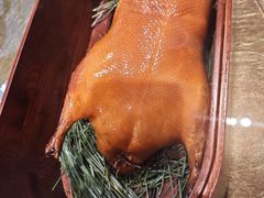 -鹿园 MOOSE(长宁店)