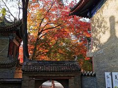 -兴教寺