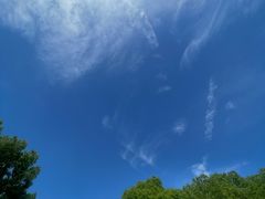 -九里河湿地公园