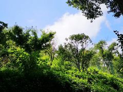 -径山寺