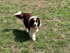 -蓝地时尚庄园(北京清河营地铁站店)