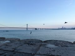 -星海湾跨海大桥