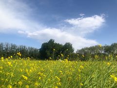 -天津武清北运河郊野公园房车露营地