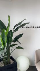 -DELAVAY黛乐薇抗衰中心