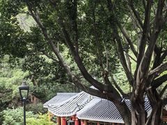 -金鸡山公园