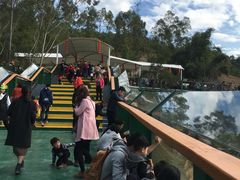 -泉州海丝野生动物世界