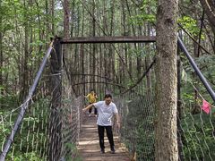 -青峰峡国家森林公园