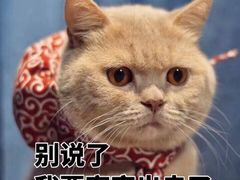 -Nirvana Fitness健身工作室