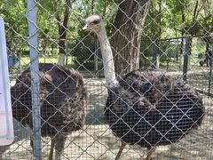 -长白岛森林公园