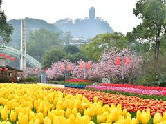 -南山植物园