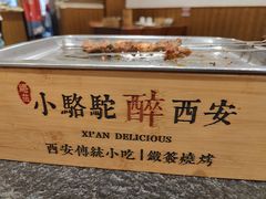-福苗小骆驼烧烤(大唐不夜城店)