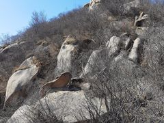 -北京凤凰岭