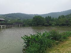 -石塘人家