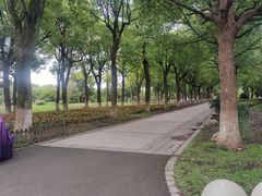 -上海鲜花港