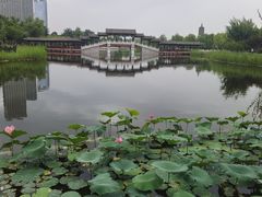 -西海子公园