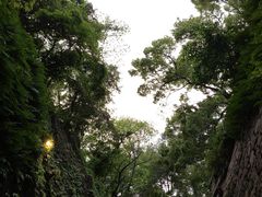 -乌山风景区