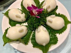 -席家花园(巨鹿花园店)