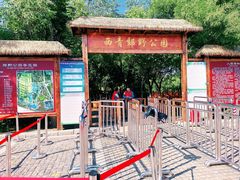 -西青郊野公园