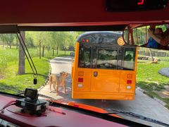 -北京野生动物园