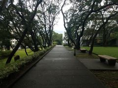 -大埔公路-马料水段香港中文大学(公交站)