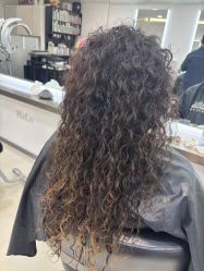 -HaLo hair studio