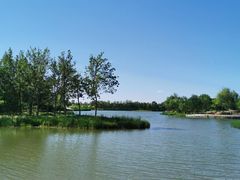 -东郊湿地公园
