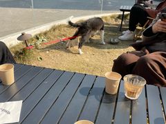 -J Create城市露营咖啡·简餐·宠物(上海动物园店)