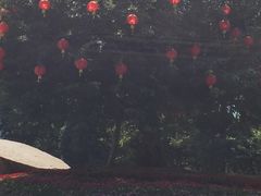 -金山植物公园
