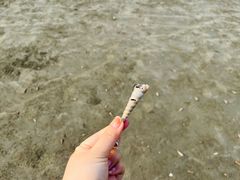 -江山半岛白浪滩景区