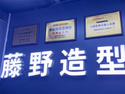 点击看大图 -藤野造型
