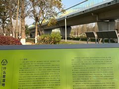 -白鹭湾湿地公园