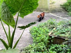 -昆明动物园