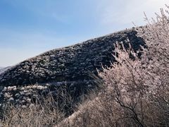 -妙峰山风景名胜区