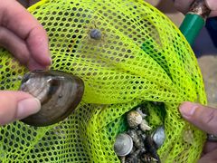 -红树林天天赶海