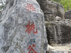 -大岭沟猕猴桃谷风景区