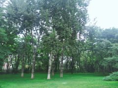 -玲珑塔公园