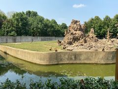 -合肥野生动物园