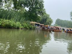 -溱湖国家湿地公园