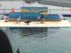 -秦皇岛乐岛海洋王国