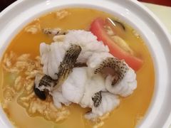 特色蒸泰星斑-君德澜酒家·创意粤菜(金山谷店)