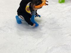 -Mr·Kuma酷么先生雪之乐园
