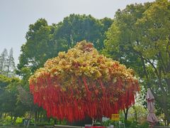 -狼山风景名胜区
