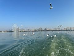 -无锡蠡湖国家湿地公园-蠡园
